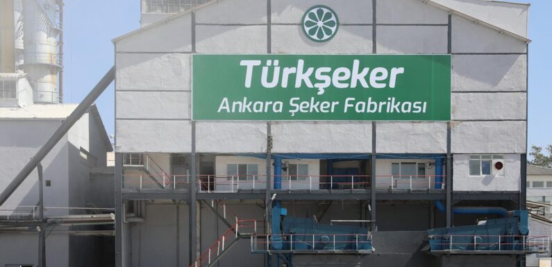 TÜRKŞEKER 1000 geçici işçi alacak TRT Haber Ekonomi Haberleri AA
