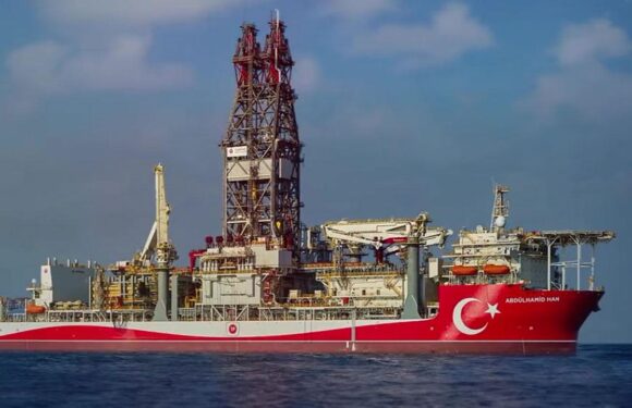Filonun ‘en güçlüsü’ Abdülhamit Han, görevde 1 yılını doldurdu TRT Haber Ekonomi Haberleri AA