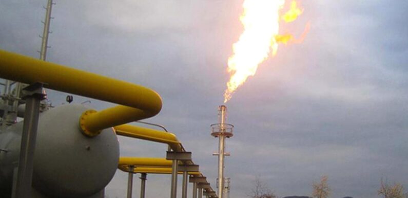 Türkiye ile Macaristan arasında doğal gaz anlaşması imzalandı TRT Haber Ekonomi Haberleri AA