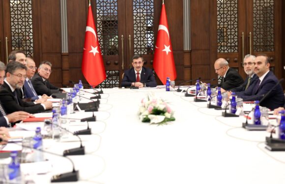 Ekonomi Koordinasyon Kurulu toplantısının ardından açıklama yapıldı TRT Haber Ekonomi Haberleri AA