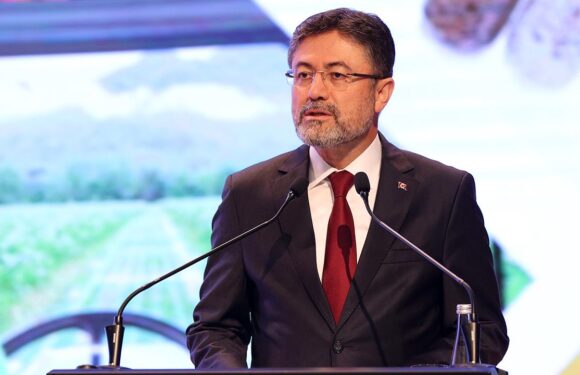 Bakan Yumaklı: Fındığın dünyada bir numaralı üreticisiyiz TRT Haber Ekonomi Haberleri AA