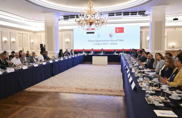 Türkiye ile Mısır arasındaki ticaret hacmi 10 milyar dolara ulaştı TRT Haber Ekonomi Haberleri AA
