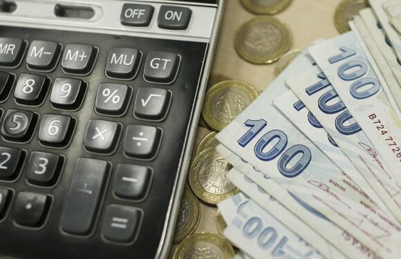 Yeni nesil yatırım aracı kitle fonlama sistemi büyüyor TRT Haber Ekonomi Haberleri TRT Haber