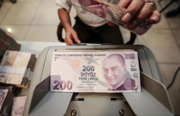 Yapılandırma ve ek MTV ödemelerinde son 4 gün TRT Haber Ekonomi Haberleri AA