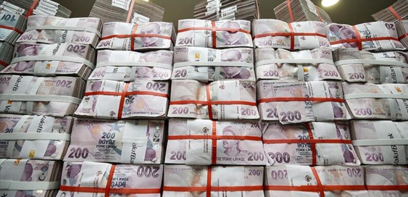 Bütçe temmuzda 48,6 milyar lira fazla verdi TRT Haber Ekonomi Haberleri AA