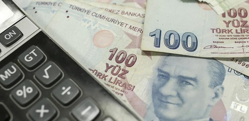 Toplam ciro endeksi haziranda yıllık bazda arttı