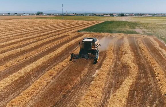 Kırsal kalkınma projelerine ilave hibe desteği TRT Haber Ekonomi Haberleri TRT Haber