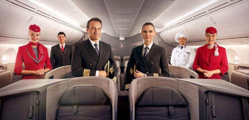 THY’den ikinci pilot adayları için iş ilanı TRT Haber Ekonomi Haberleri DHA