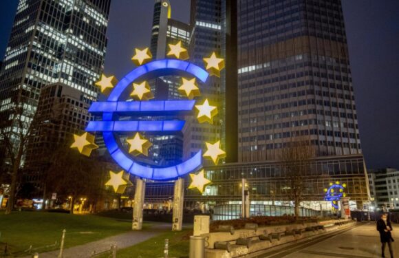 Avrupa Merkez Bankası’nın gündeminde faiz indirimi bulunmuyor TRT Haber Ekonomi Haberleri AA