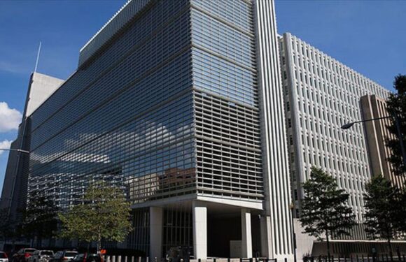 Dünya Bankası: Gelişmekte olan ülkelerde çevrim içi gig işlere talep hızla artıyor TRT Haber Ekonomi Haberleri AA