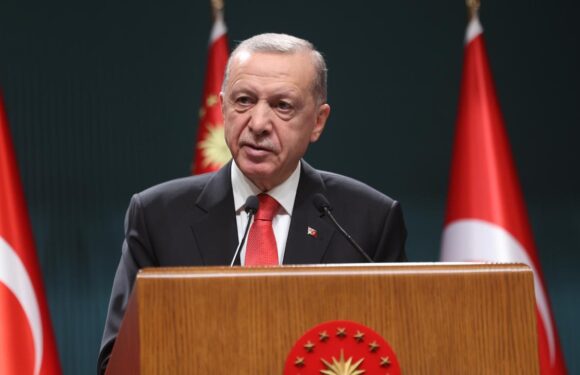 Cumhurbaşkanı Erdoğan: İstikrarlaştırıcı güç olarak her masada yer alacağız TRT Haber Ekonomi Haberleri TRT Haber