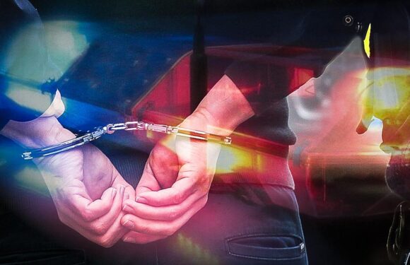 Ankara merkezli 8 ilde milyonluk ‘Forex’ operasyonu: 29 gözaltı TRT Haber Ekonomi Haberleri TRT Haber