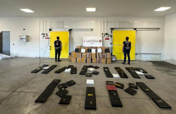Habur ve Türkgözü’nde 28 milyon liralık kaçak eşya ele geçirildi TRT Haber Ekonomi Haberleri AA