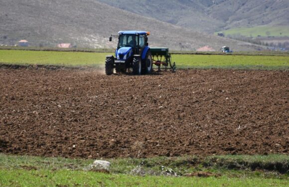 Tarımsal Üretimin Planlanması Kurulu oluşturulacak TRT Haber Ekonomi Haberleri AA
