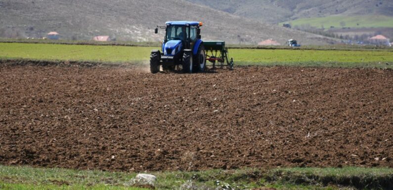 Tarımsal Üretimin Planlanması Kurulu oluşturulacak TRT Haber Ekonomi Haberleri AA