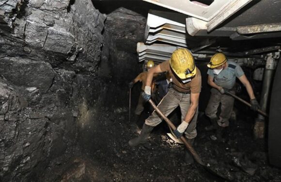 TTK’ye 2 bin işçi alınacak TRT Haber Ekonomi Haberleri AA