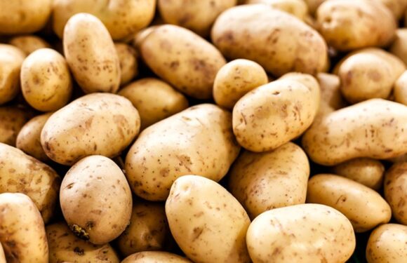 Ağustos’ta fiyatı en fazla düşen ürün patates oldu TRT Haber Ekonomi Haberleri AA