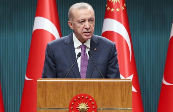 Cumhurbaşkanı Erdoğan: Zengezur ve Laçın barış koridorları olmalı TRT Haber Ekonomi Haberleri TRT Haber