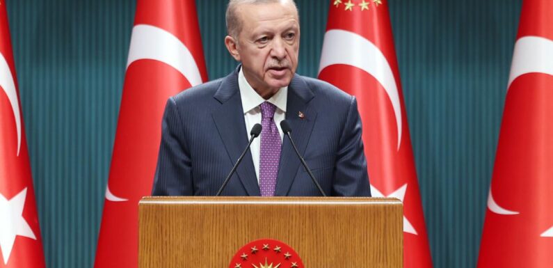 Cumhurbaşkanı Erdoğan: Zengezur ve Laçın barış koridorları olmalı TRT Haber Ekonomi Haberleri TRT Haber