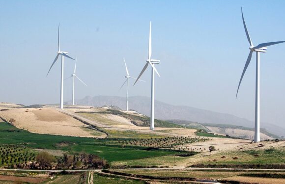 Yenilenebilir enerji için yeni alanlar belirlendi TRT Haber Ekonomi Haberleri AA