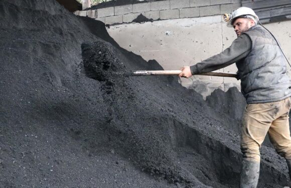Türkiye Taşkömürü Kurumuna 2 bin işçi alınacak TRT Haber Ekonomi Haberleri TRT Haber