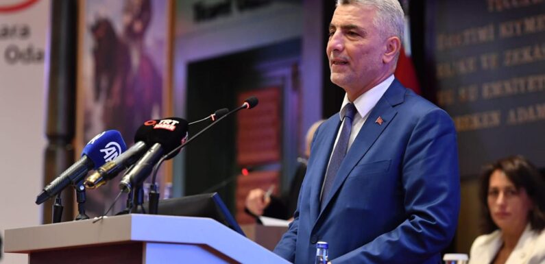 Bakan Bolat: Emlak sektöründeki çürük elmaları da ayıklayacağız TRT Haber Ekonomi Haberleri AA
