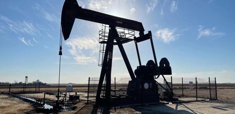 TPAO’nun petrol arama ruhsatı uzatıldı TRT Haber Ekonomi Haberleri AA