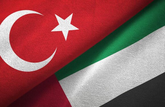 TürkiyeBAE ortaklık anlaşması yürürlüğe giriyor TRT Haber Ekonomi Haberleri TRT Haber