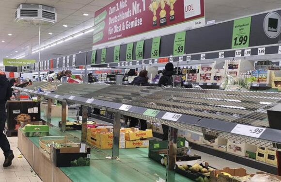 Almanya’da üretici fiyatlarında düşüş devam ediyor TRT Haber Ekonomi Haberleri AA