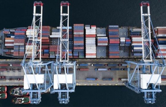 Ağustos ayı dış ticaret endeksleri açıklandı TRT Haber Ekonomi Haberleri TRT Haber