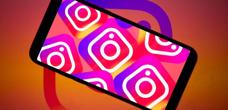 Instagram, günde yarım milyar ziyaretçisiyle 13. yılını geride bırakıyor TRT Haber Ekonomi Haberleri AA