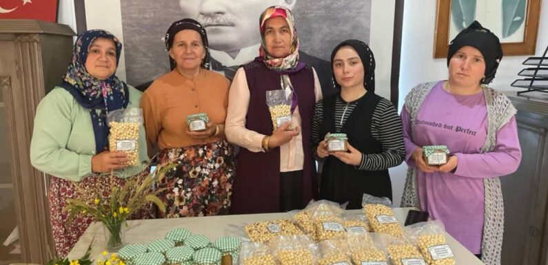 Kadınlar devlet desteğiyle kurdukları tesisle kendi işlerinin patronu oldu TRT Haber Ekonomi Haberleri AA