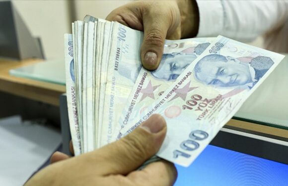 Yaşlı ve engelli aylıkları bugün hesaplara yatırılacak TRT Haber Ekonomi Haberleri İHA