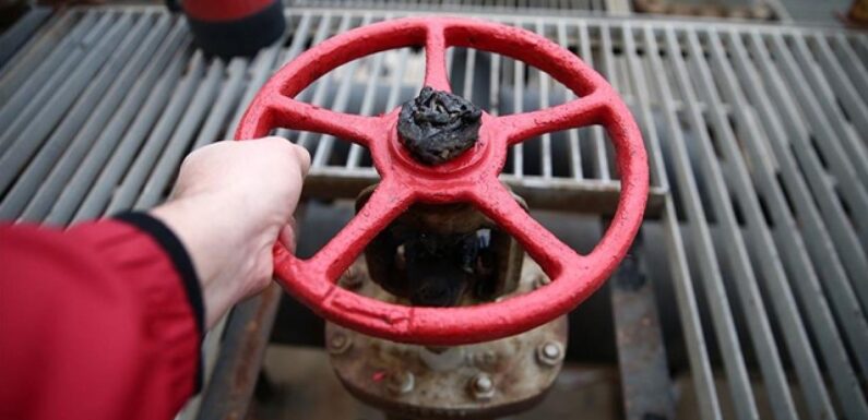 IrakTürkiye Petrol Boru Hattı faaliyete geçiyor TRT Haber Ekonomi Haberleri TRT Haber