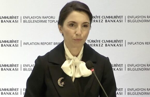 Gaye Erkan: Dezenflasyona başlama zamanı mayıstan sonra olacak TRT Haber Ekonomi Haberleri AA