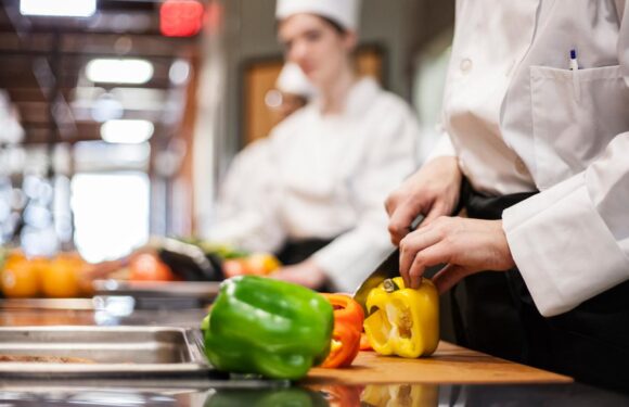 MEB gastronomi lisesi açıyor TRT Haber Eğitim Haberleri