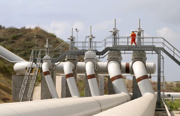 Türkiye’de kurulacak doğal gaz merkezinde takvim şekilleniyor TRT Haber Ekonomi Haberleri AA