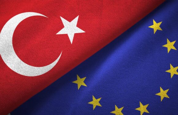 TürkiyeAB yüksek düzeyli ticaret toplantısı 8 Temmuz’da