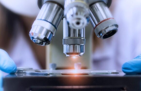 ARGE faaliyetlerine bütçeden 63,5 milyar lira pay