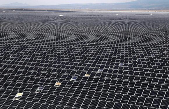 Türkiye’nin elektrik ihtiyacının yüzde 60’ı yenilenebilir enerjiden