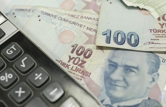 Reel Kesim Güven Endeksi, şubatta arttı