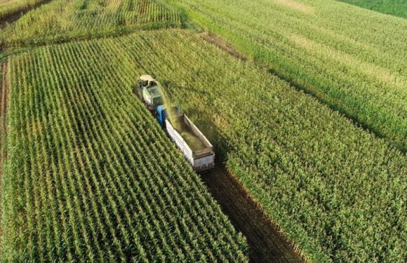 Çiftçilere 4,3 milyar lira destek ödemesi bugün yapılacak