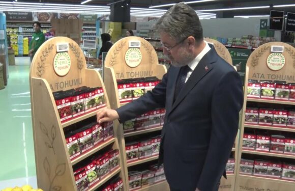Tescillenen ata tohumları Tarım Kredi marketlerinde satışa sunuldu