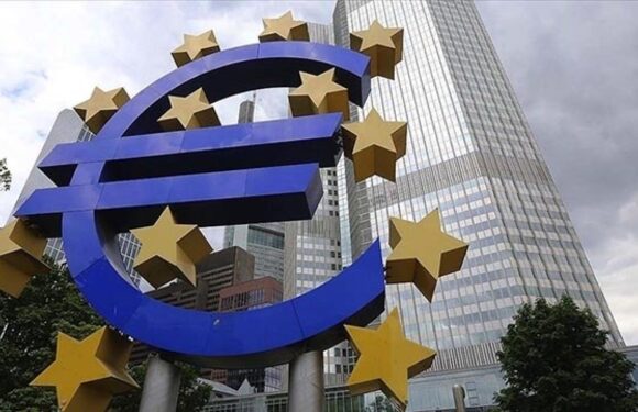 ECB’deki teknik sorunlar Avrupa’da bankacılık işlemlerini zorlaştırdı