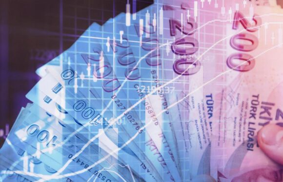 Yurt içi piyasalar enflasyon ve faiz kararına odaklandı