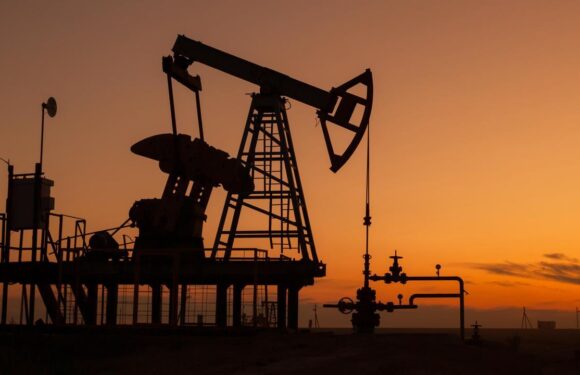 Brent petrolün varili 72,56 dolardan işlem görüyor