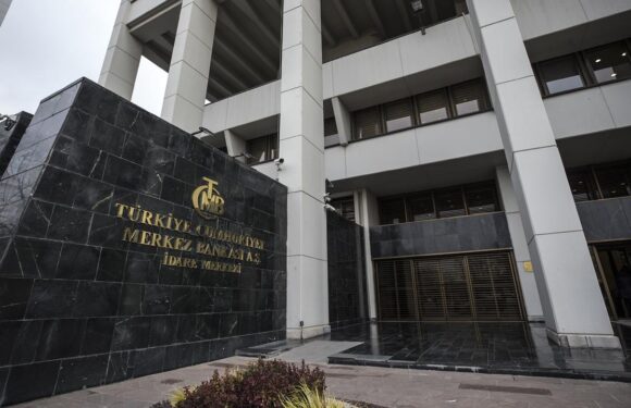 TCMB 2 şirkete faaliyet izni verdi