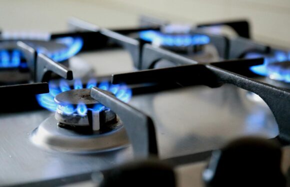 Şebekeye doğal gaz girişinde rekor