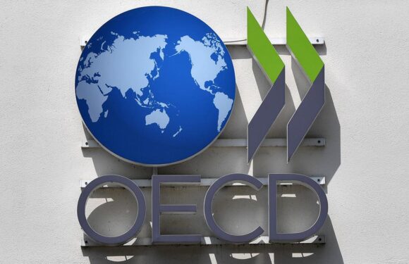 OECD: Küresel borç piyasaları zorlu bir görünümle karşı karşıya