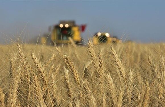 Türkiye, tarımsal hasılada Avrupa’da lider